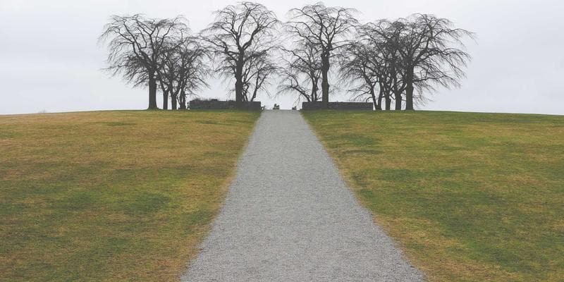 인디 MV를 칸 영화제까지