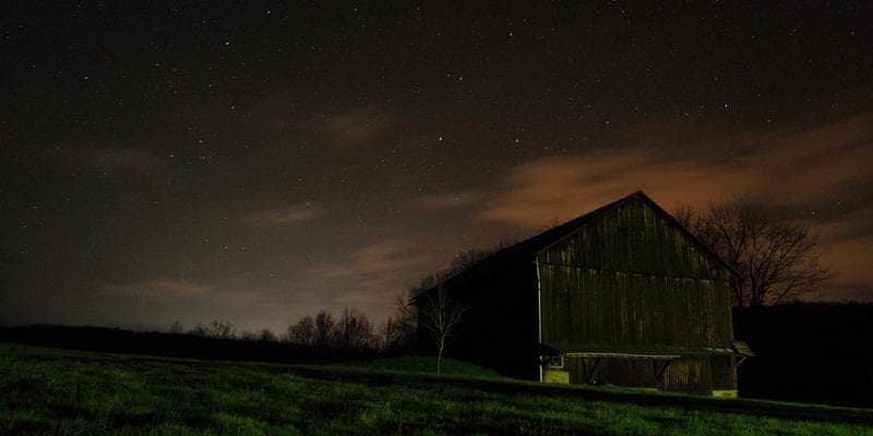 인디사운드 레이블과의 만남