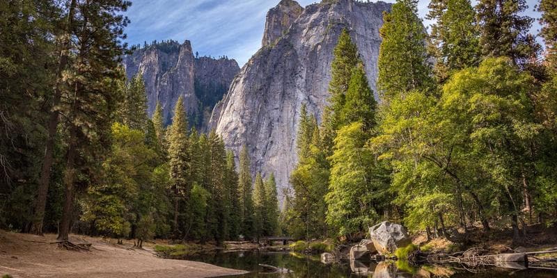 정다은 감독이 그리는 영상의 세계