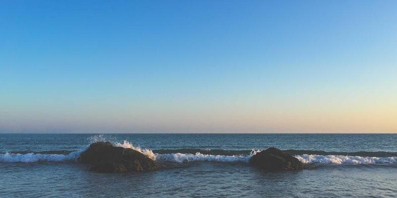 스타라이트 엔터 대표가 말하는 K-Pop의 미래