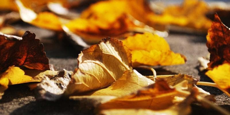 2025 K-Pop 시장 트렌드 분석