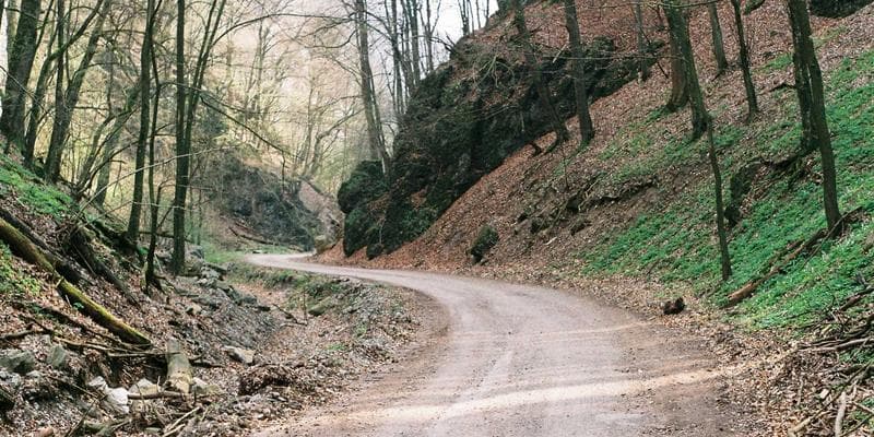 인디 음악 시장의 성장과 기회