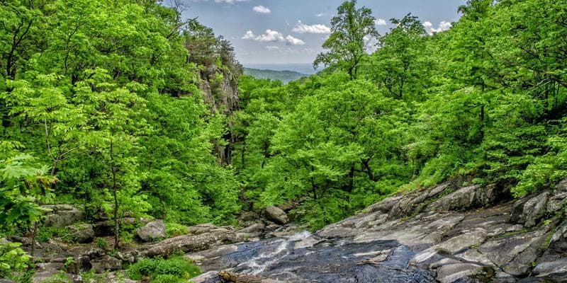신인 아티스트 브랜딩 패키지