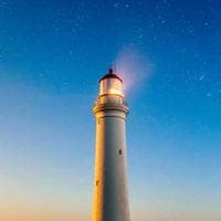 브릿지 에이전시