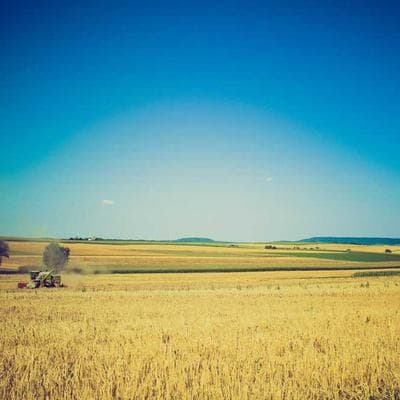 재즈페스티벌 라이브 믹싱