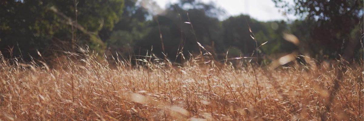 인디사운드 스토어