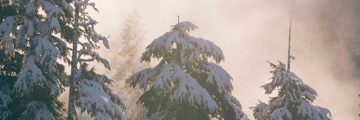 드림웨이브 엔터테인먼트 cover