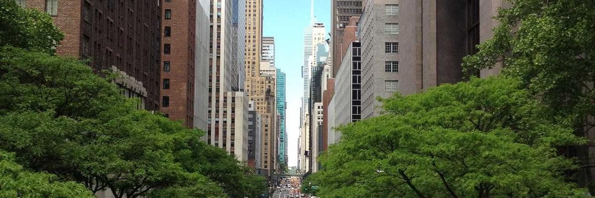 인디사운드 레이블 cover