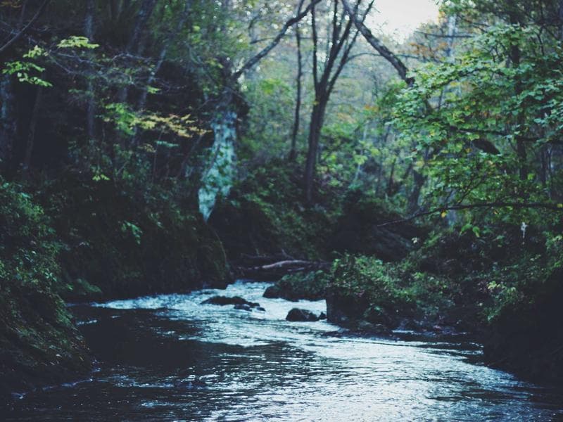 홍대 프라이빗 라이브