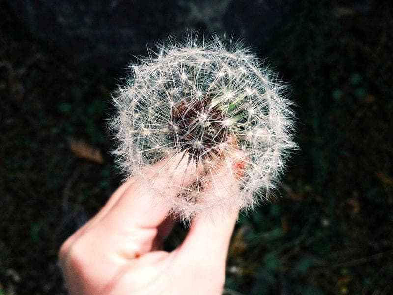 조명 스태프 가용 안내