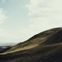 인디사운드 레이블