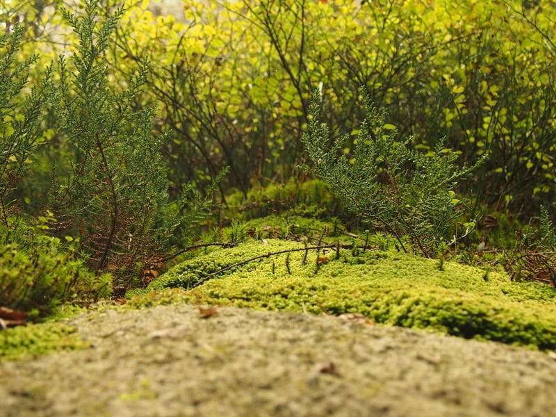 소속 배우 프로필