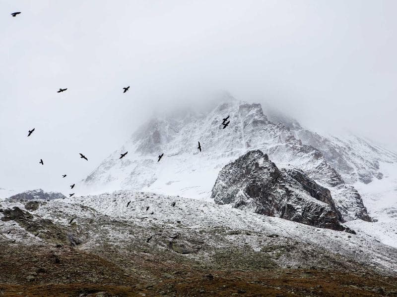 스토리보드 포트폴리오