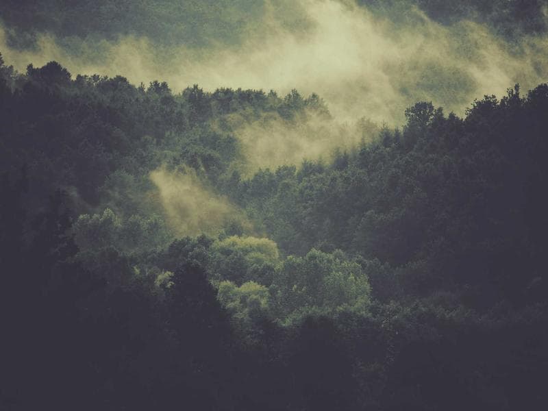 모션 그래픽 쇼릴