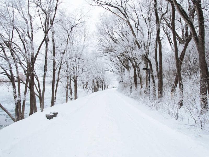 라이브 솔로 퍼포먼스