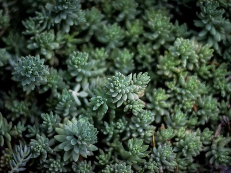 정다은 감독 MV 촬영