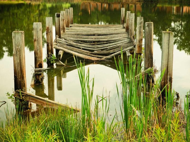 레이블 쇼케이스