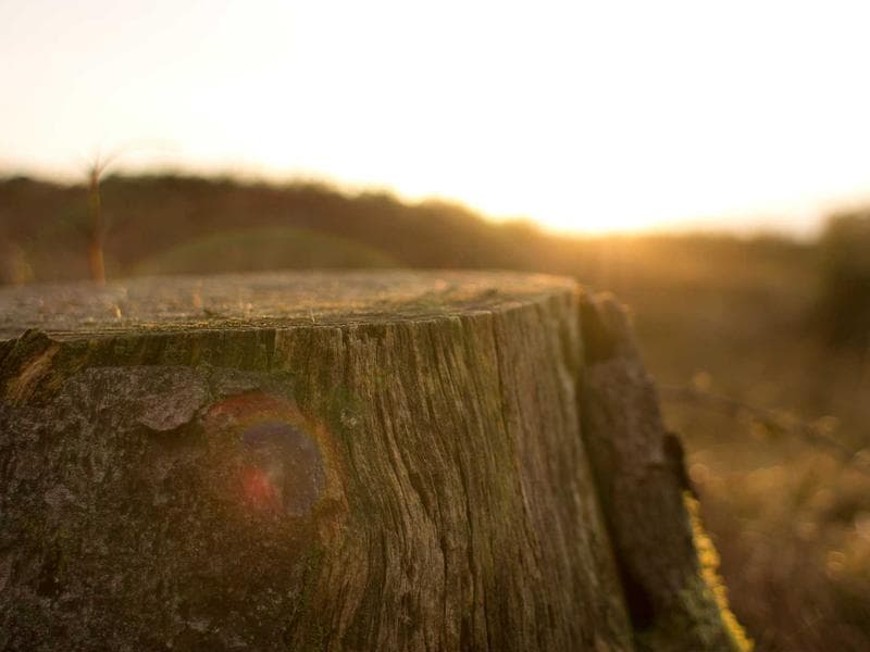 프로페셔널 믹싱 서비스 3