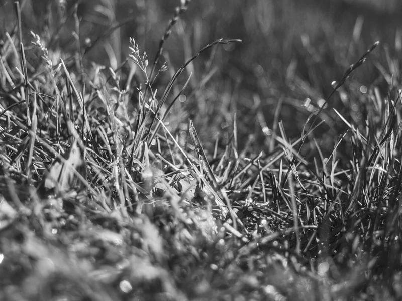 Cinematic LUT 팩 - 뮤직비디오 에디션 3