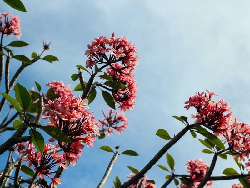 MV 원스톱 프로덕션 3